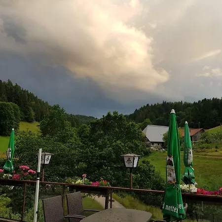 Muehlenstube Guest house *